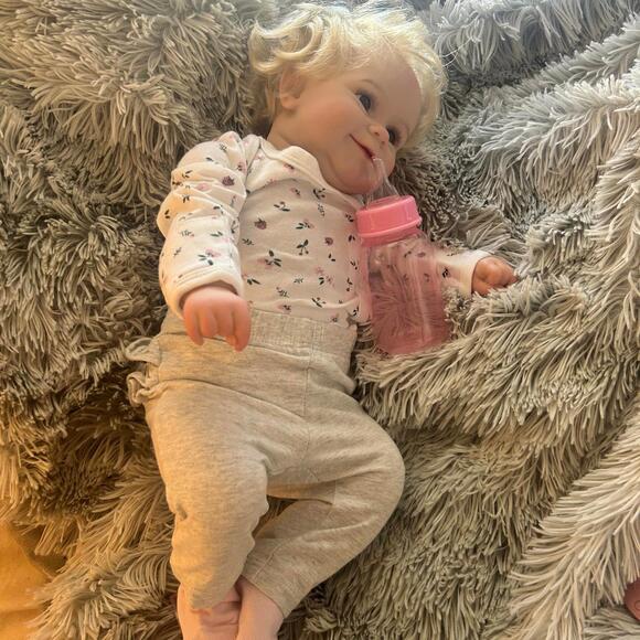 Reborn Baby Girl Doll Cloth Body Full Silicone Vinyl Limbs & Accessories (NWT) - Picture 6 of 14